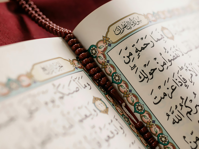 The Beauty and Wisdom Within the Surahs of the Holy Quran